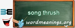 WordMeaning blackboard for song thrush